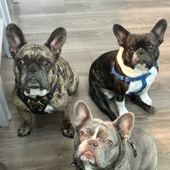 Meet Your Poshers! - Picture 2 of 2